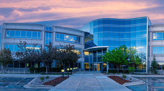 Company Office
