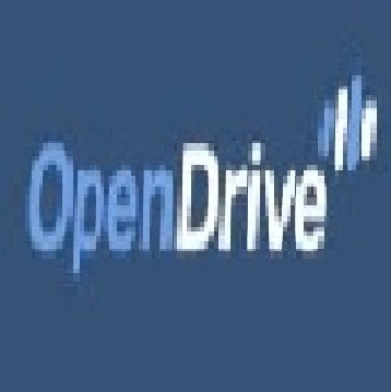 Open Drive